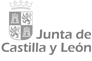 Junta de Castilla y León