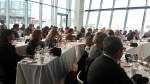 Importadores y prescriptores de Estados Unidos durante la 
