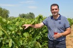 David Palacios, nuevo presidente de la Conferencia Española de Consejos Reguladores Vitivinícolas (CECRV)