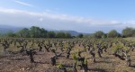Paraje de Los Fornos
